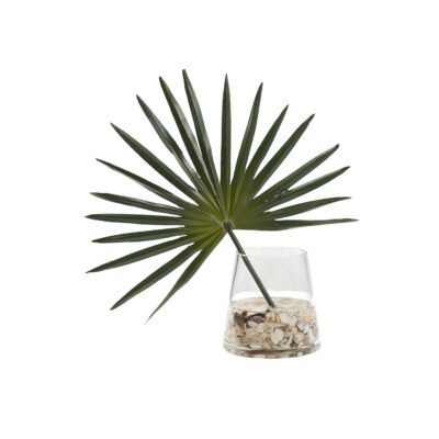 Fan Palm in Taper Vase - 249046