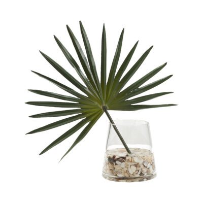 Fan Palm in Taper Vase - 249046