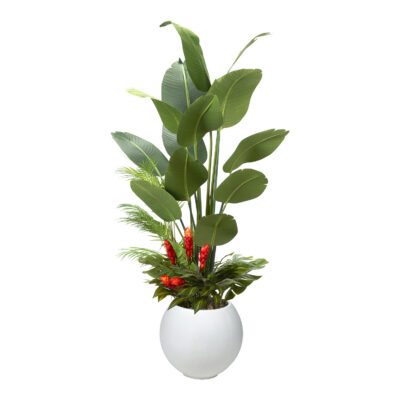 Traveler Palm with Under Planting in Porter Planter 7' - 324904