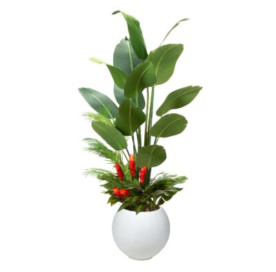 Traveler Palm with Under Planting in White Porter Planter 7' - 324904