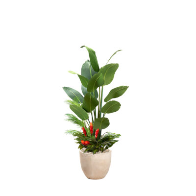 Traveler Palm with Under Planting in Grove Planter 7' - 324905