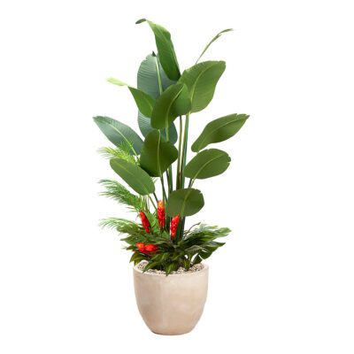 Traveler Palm with Under Planting in Grove Planter 7' - 324905