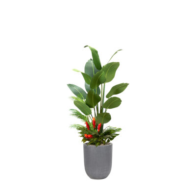 Traveler Palm with Under Planting in Campbell Planter 7' - 324906