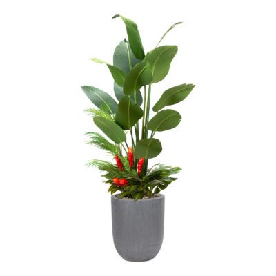 Traveler Palm with Under Planting in Campbell Planter 7' - 324906