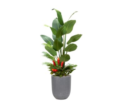 Traveler Palm with Under Planting in Campbell Planter 7' - 324906