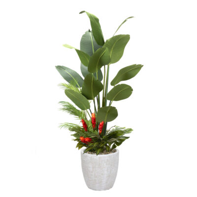 Traveler Palm with Under Planting in White Hudson Planter 7' - 324908