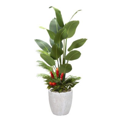 Traveler Palm with Under Planting in Hudson Planter 7' - 324908