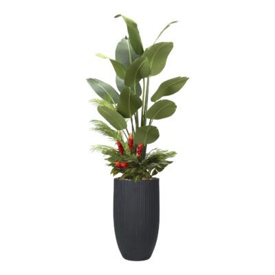 Traveler Palm with Under Planting in Nell Planter 8' - 324910