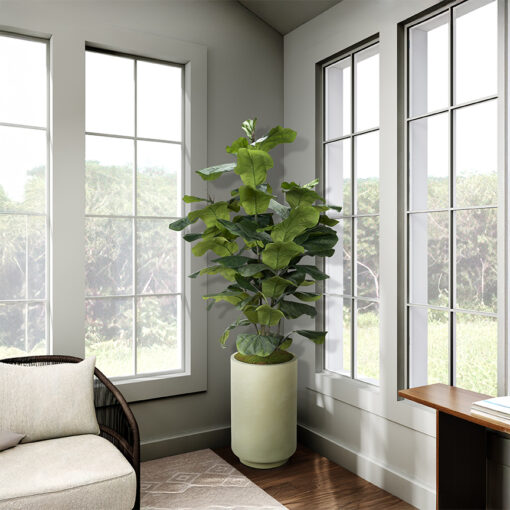 Big Leaf Fiddle Leaf Fig in Rainey Planter 7' - 324914 - Image 2