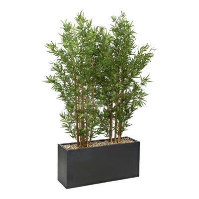 Bamboo Screen in Black Planter 7' - 324915