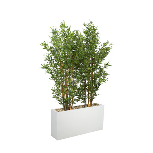 7' Bamboo Screen in White Planter - 324916