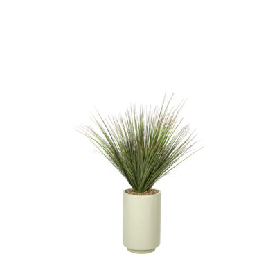 Onion Grass in Rainey Planter 4.6'- 324917