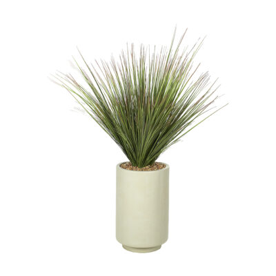 56" Onion Grass in Rainey Planter - 324917