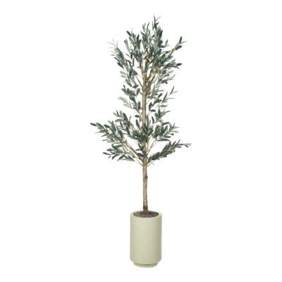 Olive Tree in Rainey Planter 6' - 324918