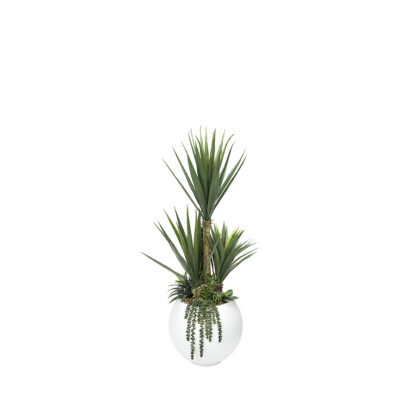 Sisal and Assorted Succulents in Porter Planter 5' - 324919