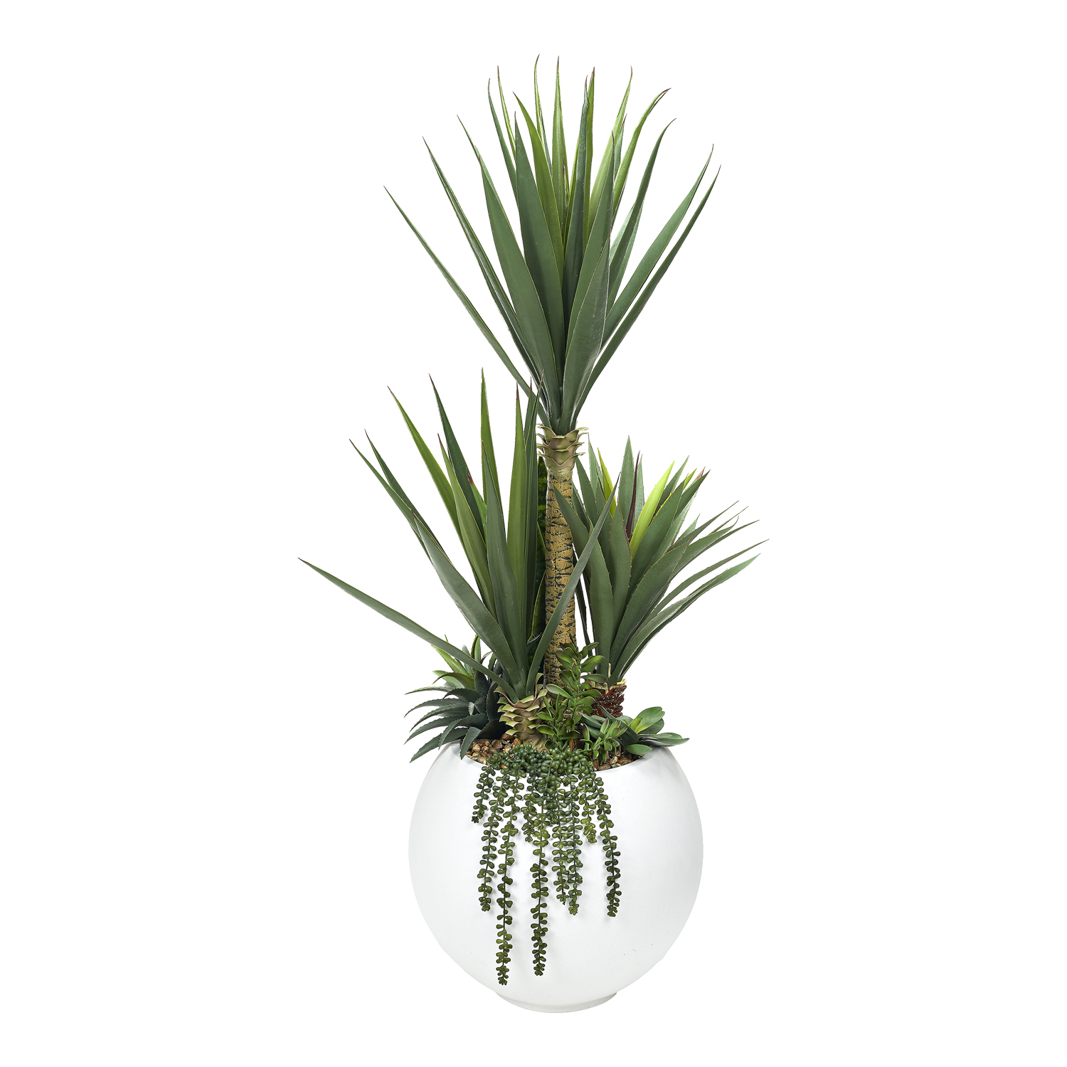 Sisal and Assorted Succulents in Porter Planter 5' - 324919