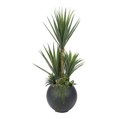 Sisal & Assorted Succulents in Porter Planter 5' - 324920