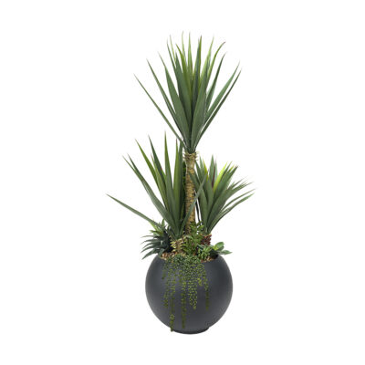 Sisal and Assorted Succulents in Black Porter Planter 5' - 324920