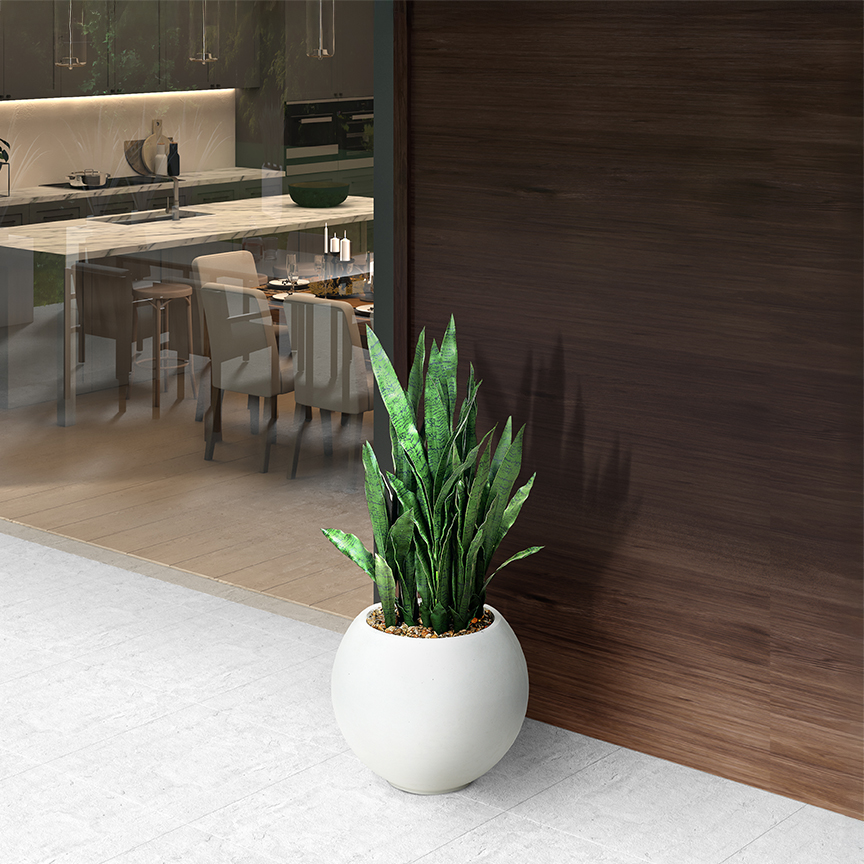 Snake Plant in Porter Planter - 324921 - Image 2