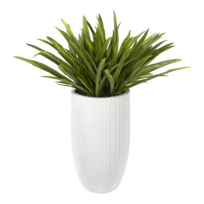 Orchid Leaves in Nell Planter 3.5' - 324923