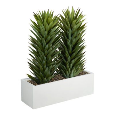 Tall Sisalana Duo in White Planter - 324931