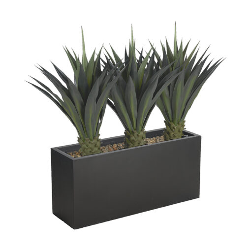 Agave Trio in Black Planter - 324933