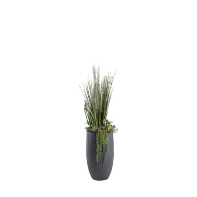Onion Grass & Mixed Succulents in Nell Planter - 324935