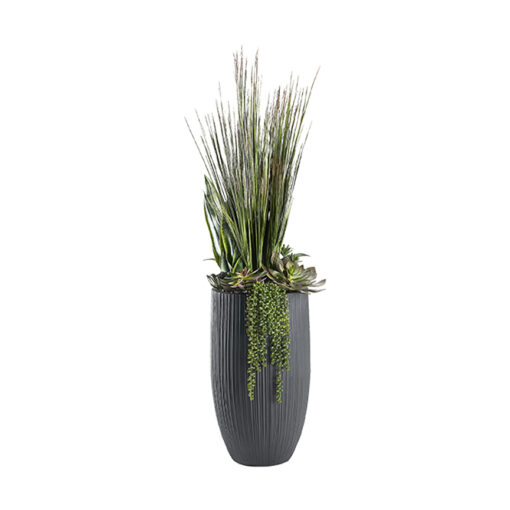 Onion Grass & Mixed Succulents in Nell Planter - 324935 - Image 2