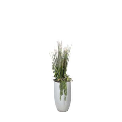 Onion Grass & Mixed Succulents in Nell Planter - 324936