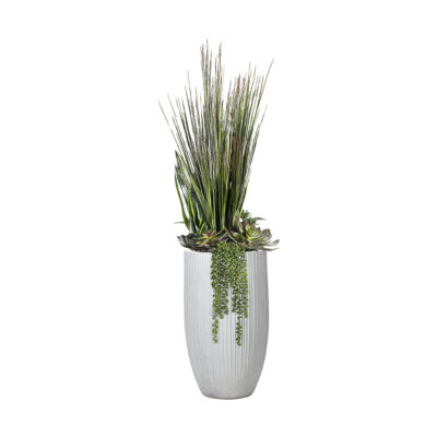 Onion Grass and Mixed Succulents in White Nell Planter - 324936