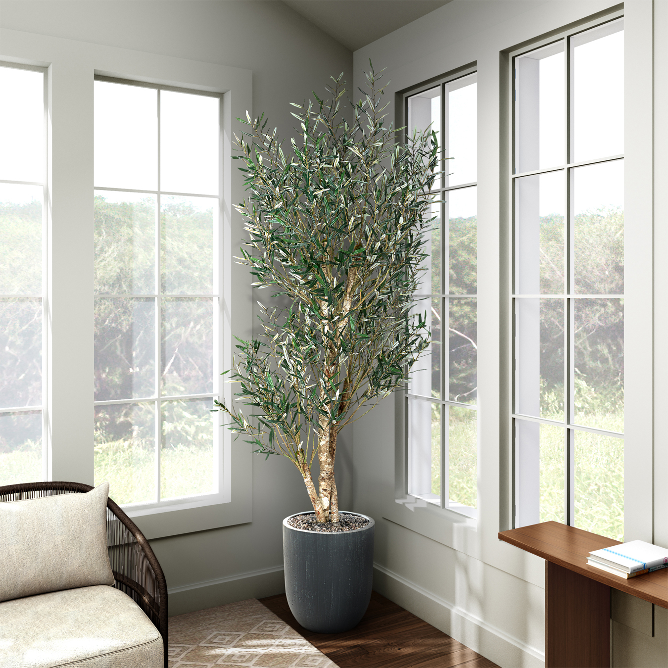 Olive Tree in White Hudson Planter 8' - Image 4