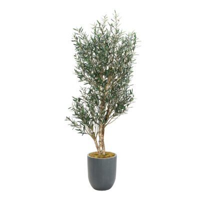 Olive Tree in Campbell Planter 8' - 324937