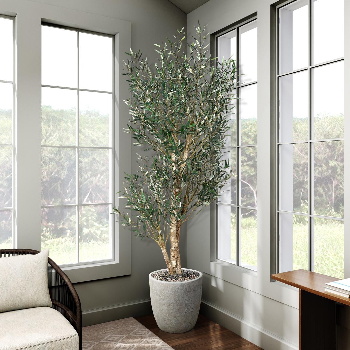 Olive Tree in White Hudson Planter 8' - Image 3