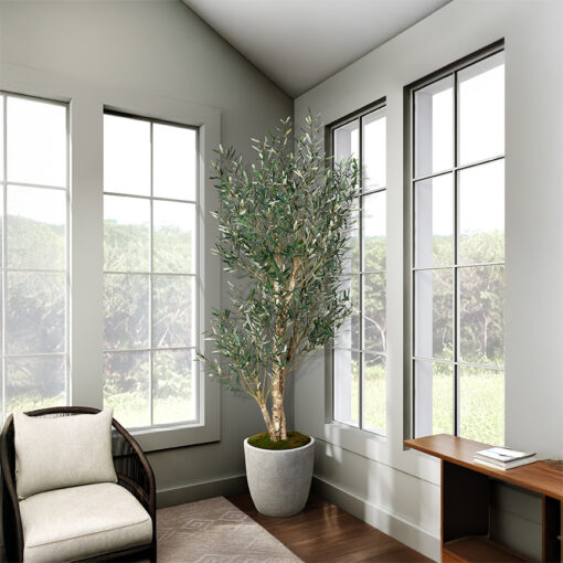 Olive Tree in White Hudson Planter 8' - 324938 - Image 2