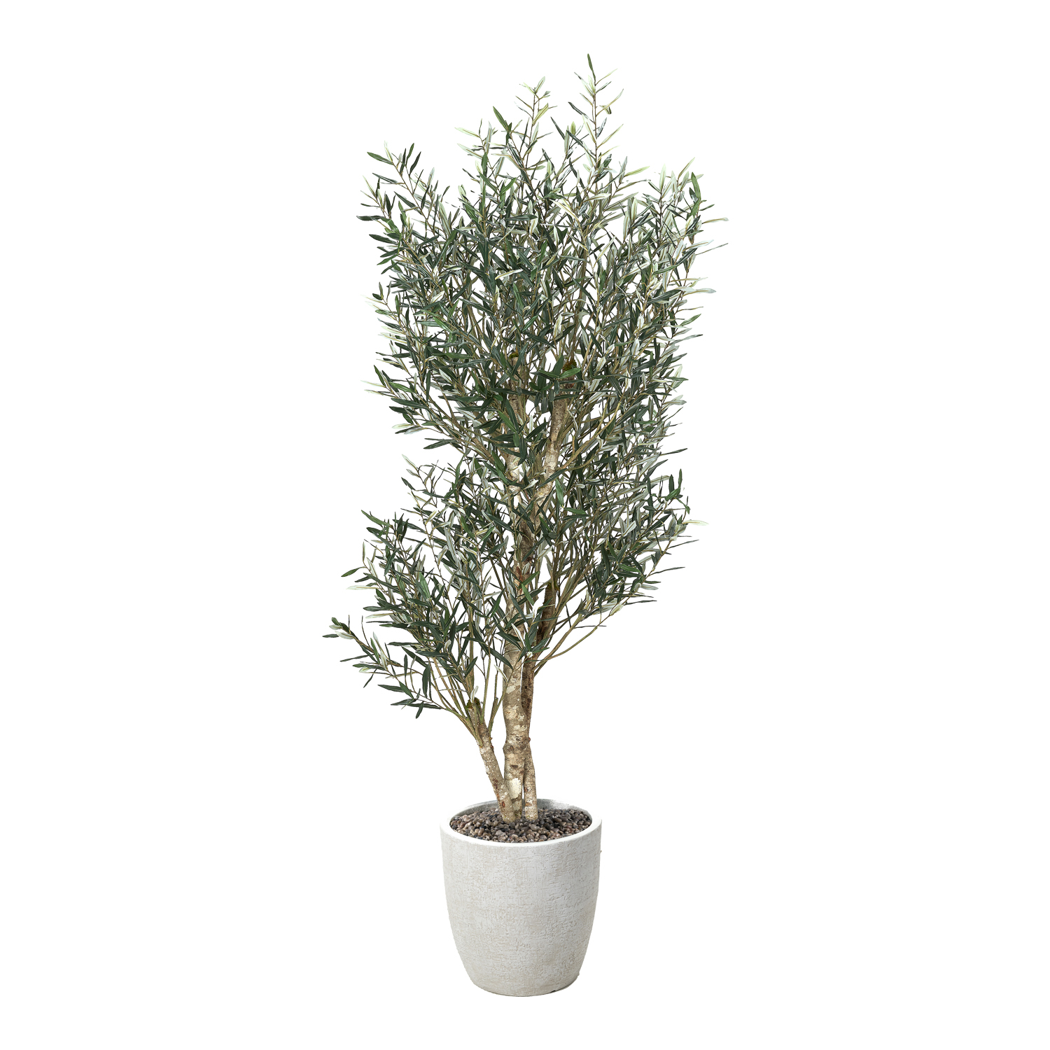 Olive Tree in White Hudson Planter 8' - 324938