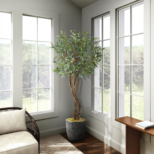 Eucalyptus Tree in Sawyer Planter 8' - 324942 - Image 2