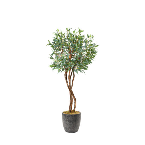 Eucalyptus Tree in Sawyer Planter 8' - 324942