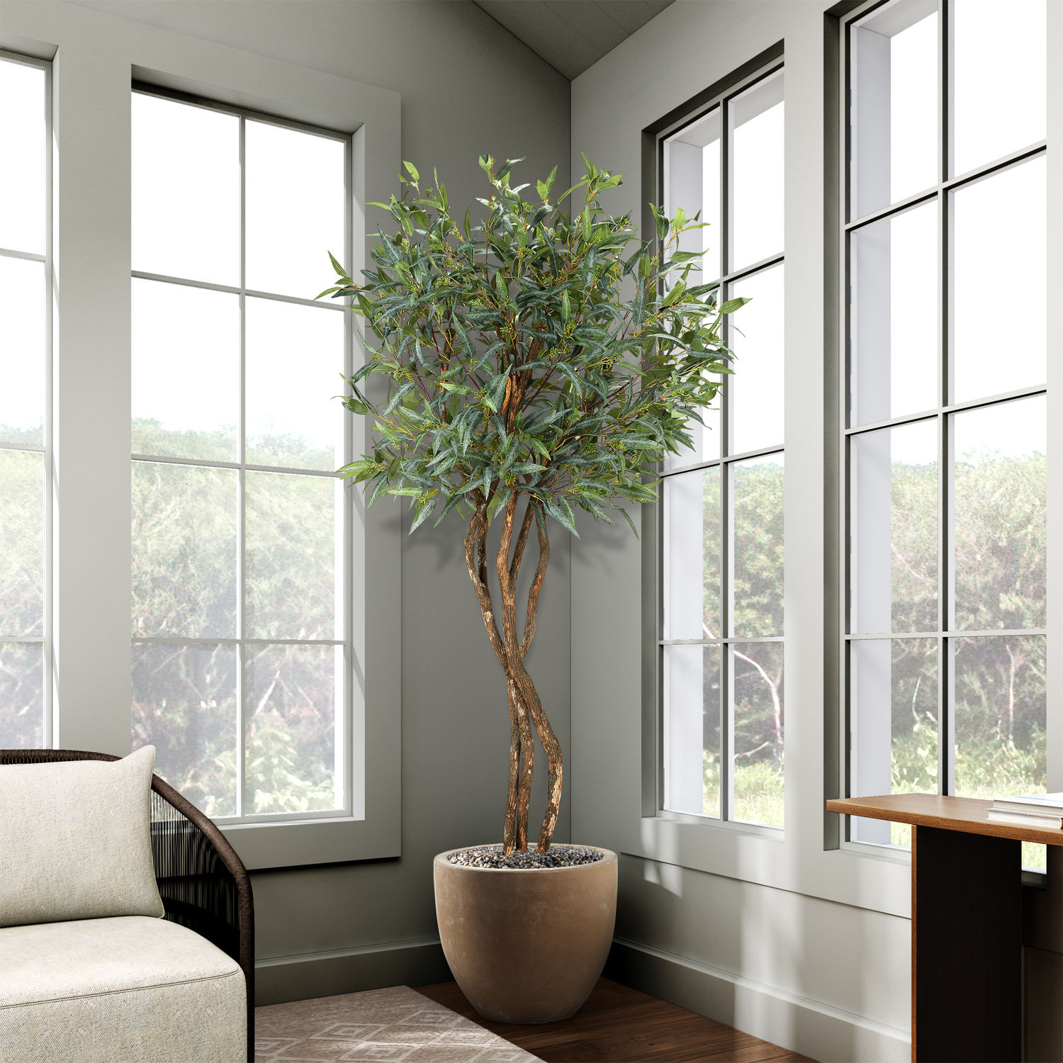Eucalyptus Tree in Grove Planter 8' - 324943 - Image 2