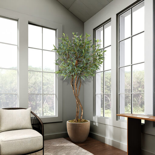 Eucalyptus Tree in Grove Planter 8' - 324943 - Image 2