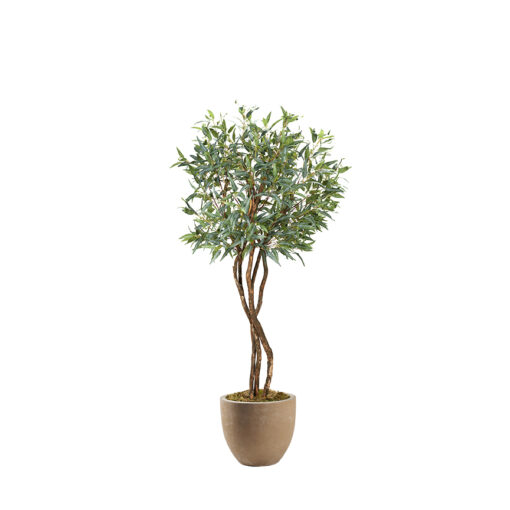 Eucalyptus Tree in Grove Planter 8' - 324943