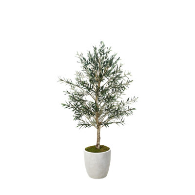 Olive Tree in Hudson Planter 7.5' - 324944