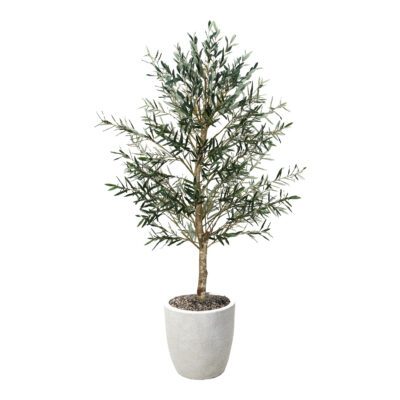 Olive Tree in Hudson Planter 7.5' - 324944