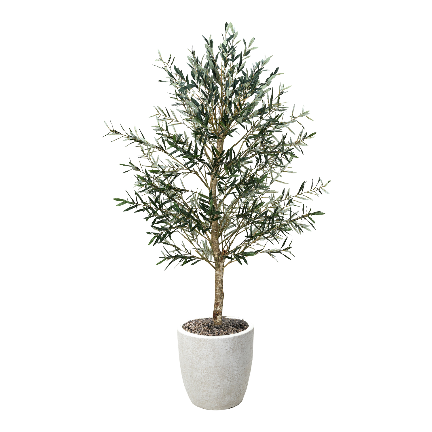 Olive Tree in Hudson Planter 7.5' - 324944