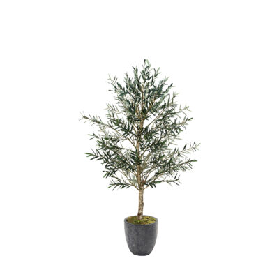 Olive Tree in Hudson Planter 7.5' - 324945