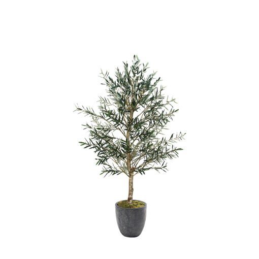 Olive Tree in Hudson Planter 7.5' - 324945