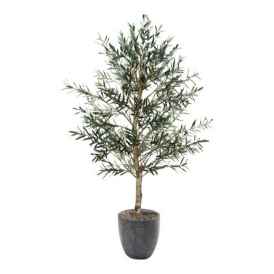 Olive Tree in Hudson Planter 7.5' - 324945
