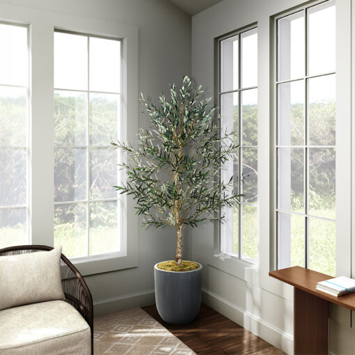 Olive Tree in Campbell Planter 7.5' - 324946 - Image 2
