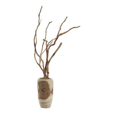 Tiger Wood in Yucca Planter 4.2' - 324963