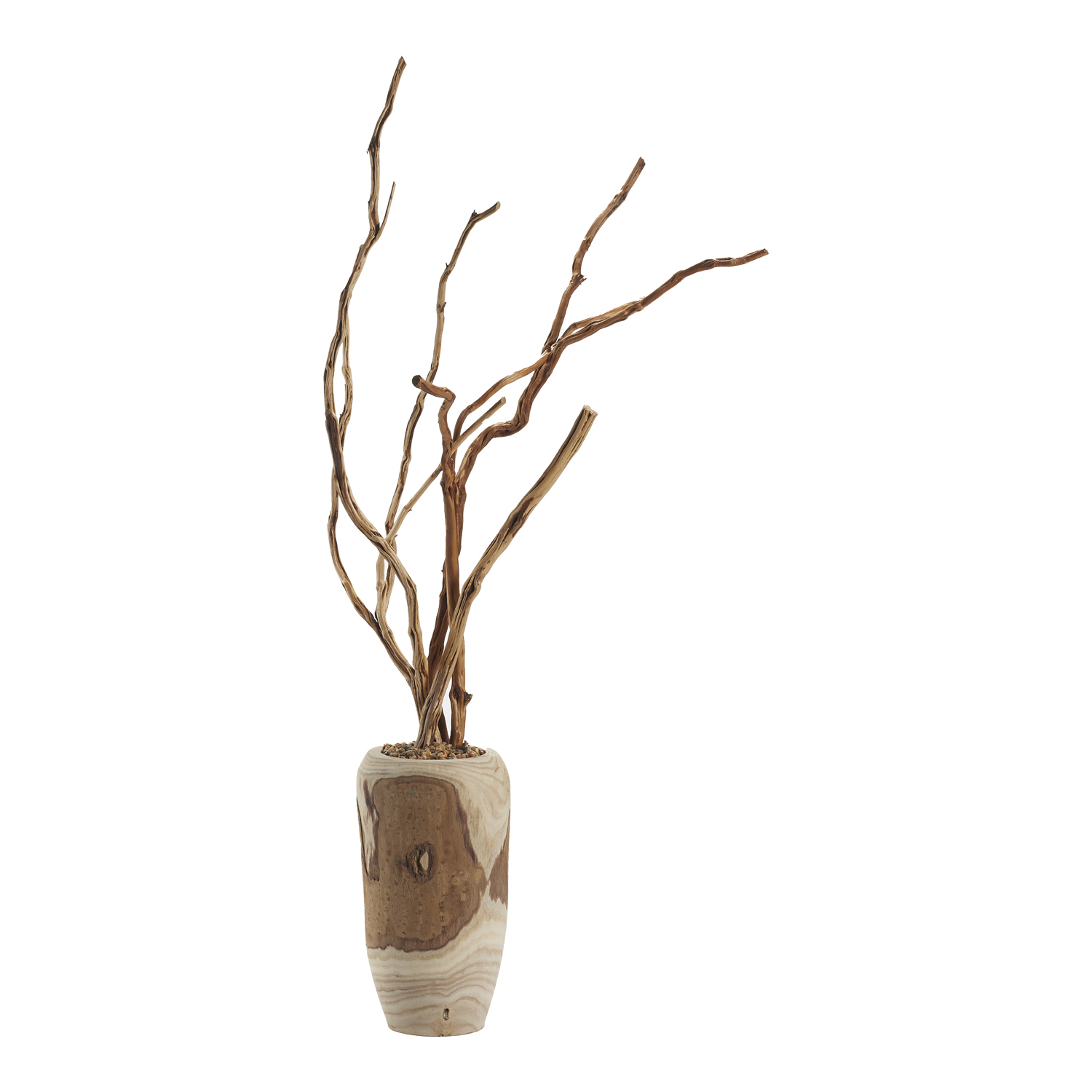 Tiger Wood in Yucca Planter 4.2' - 324963