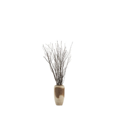 Birch Tops in Yucca Planter - 324964